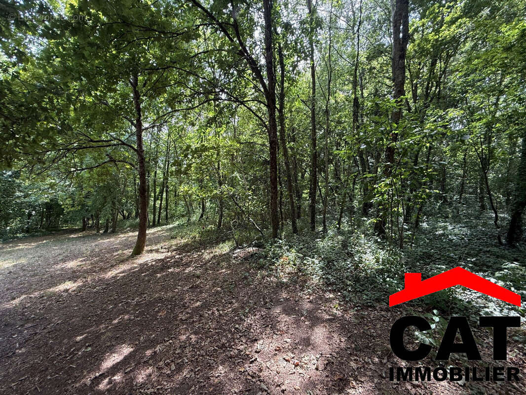 Terrain à VERNOU-LA-CELLE-SUR-SEINE