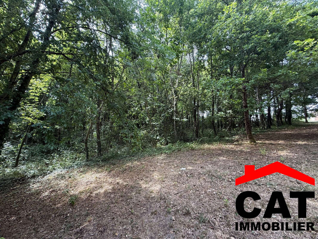 Terrain à VERNOU-LA-CELLE-SUR-SEINE