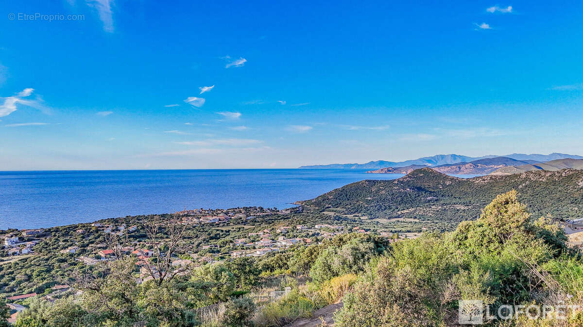 Terrain à MONTICELLO