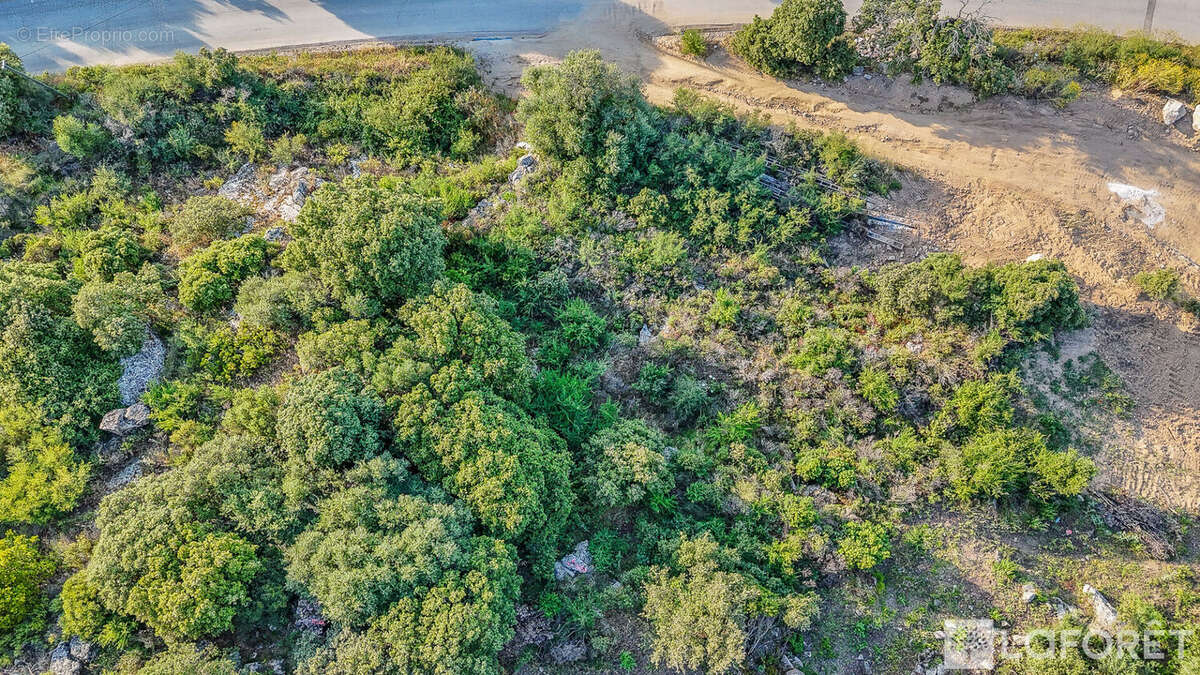 Terrain à MONTICELLO