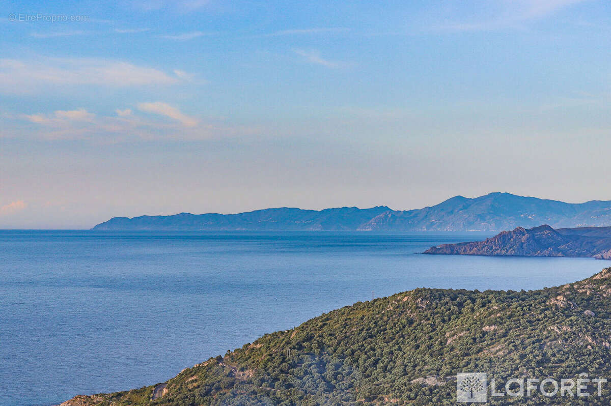 Terrain à MONTICELLO