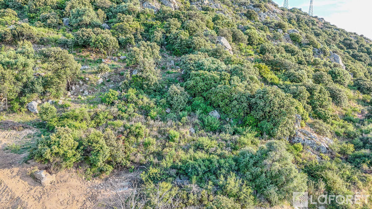 Terrain à MONTICELLO