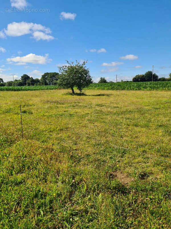 Maison à PLOUMAGOAR