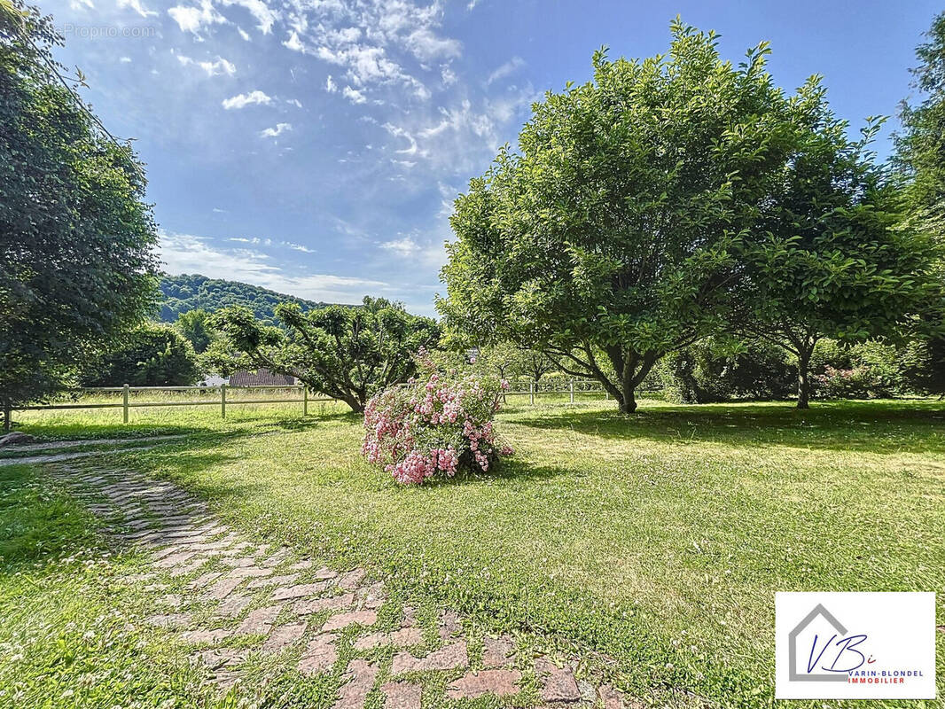 Maison à LILLEBONNE