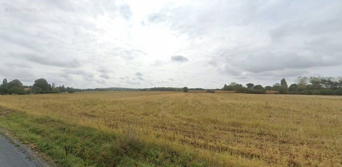 Photo 1 - Terrain à COURS-DE-PILE