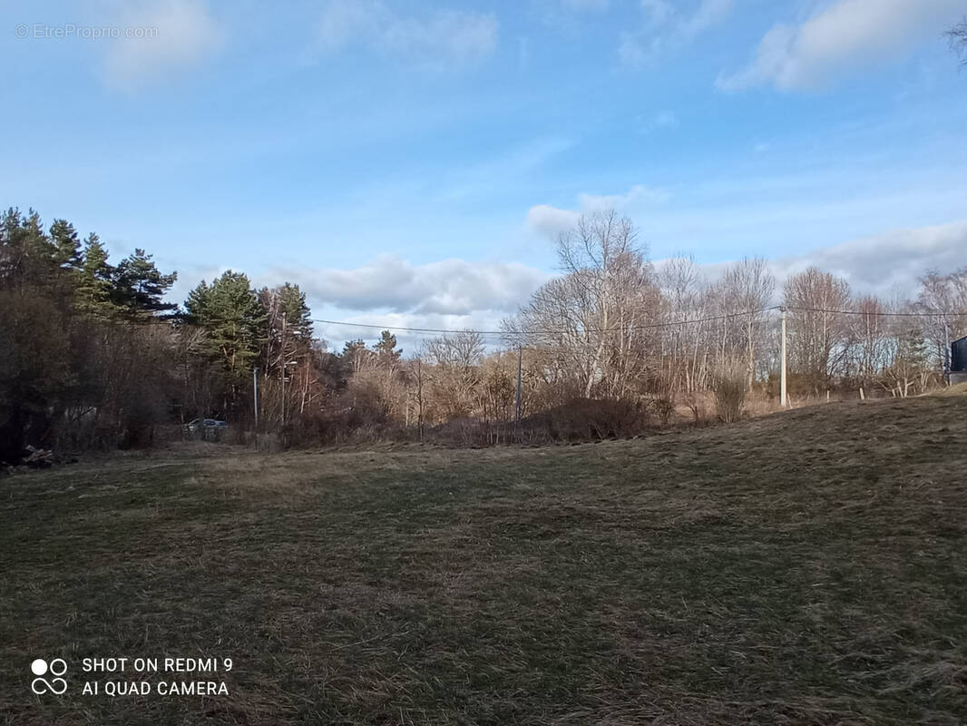 Terrain à SAINT-GENES-CHAMPANELLE