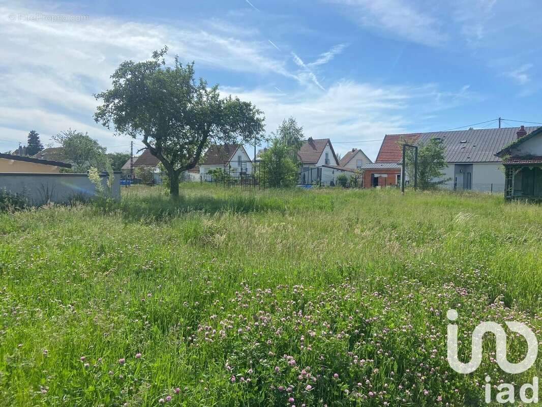 Photo 3 - Terrain à CHARMES