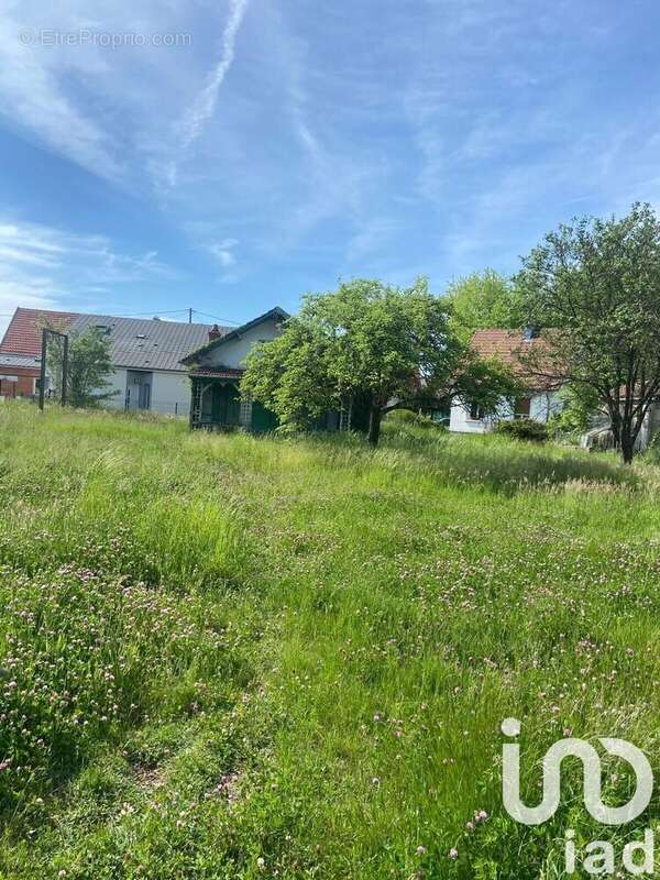 Photo 4 - Terrain à CHARMES