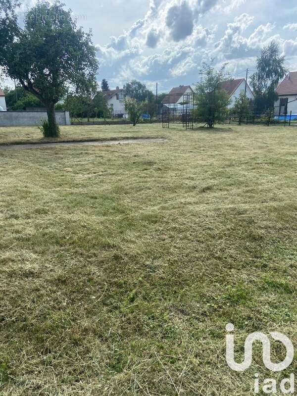 Photo 6 - Terrain à CHARMES