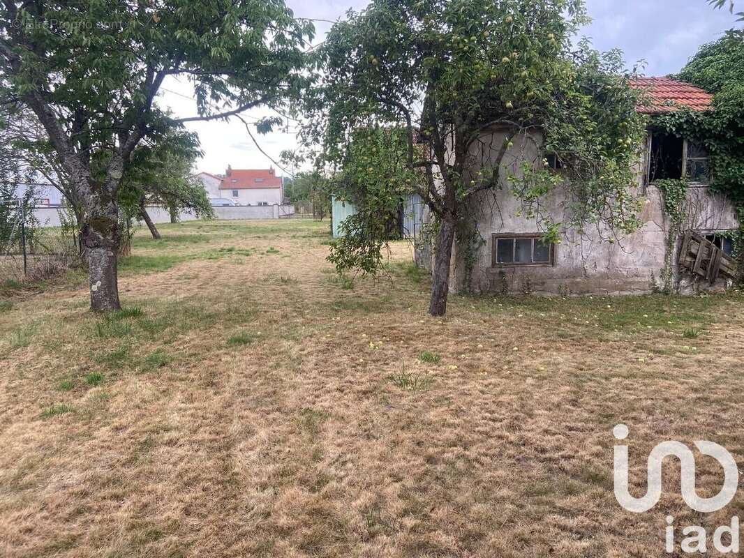 Photo 7 - Terrain à CHARMES