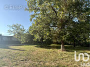 Photo 1 - Terrain à LOUHANS