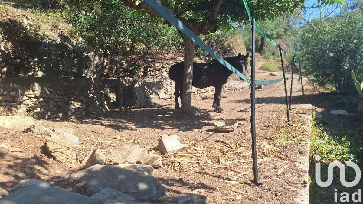 Photo 3 - Maison à REYNES