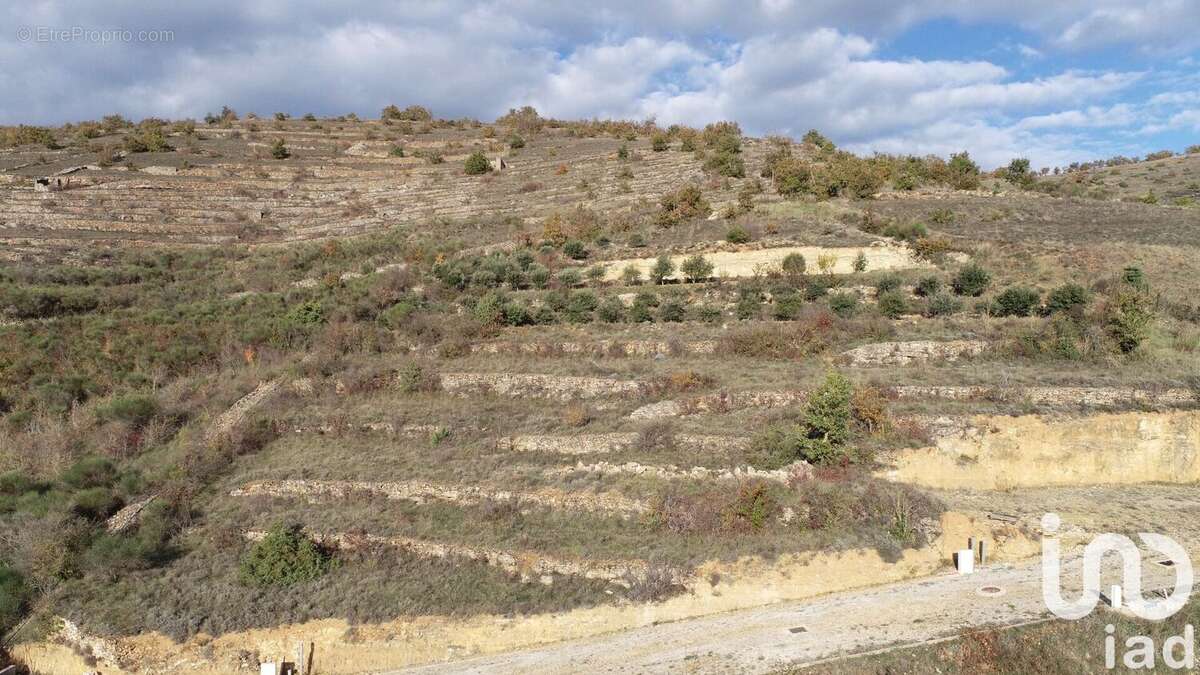Photo 2 - Terrain à SAINT-ROME-DE-TARN