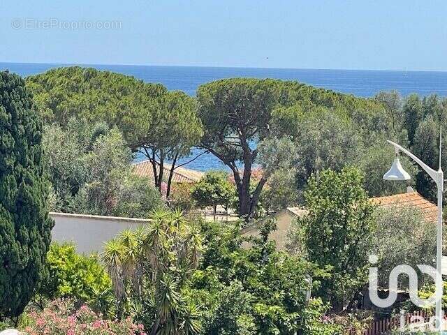 Photo 2 - Appartement à SARI-SOLENZARA