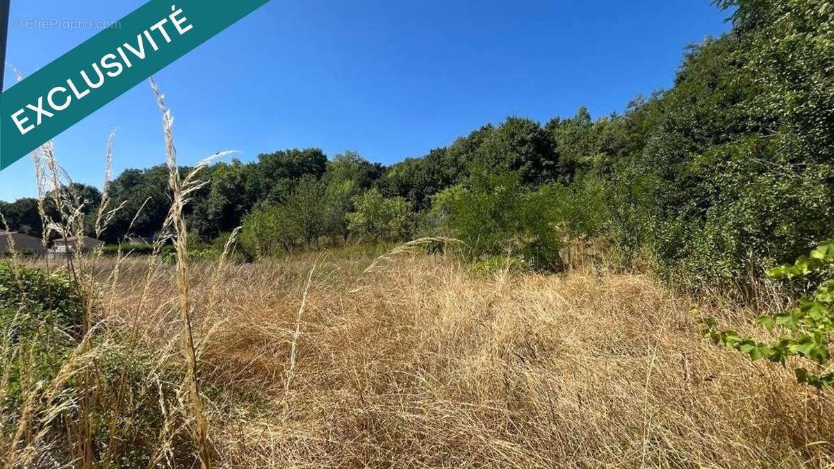 Photo 2 - Terrain à MANSLE