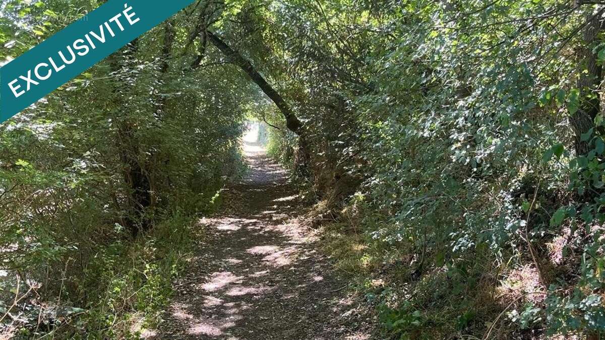 Photo 4 - Terrain à MANSLE