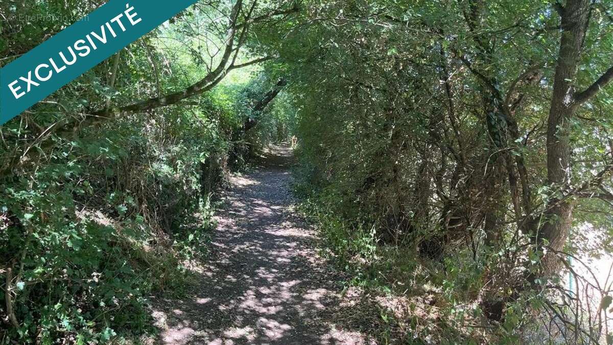 Photo 5 - Terrain à MANSLE