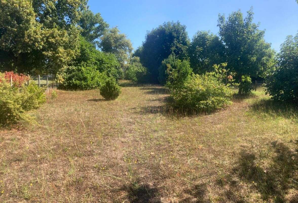 Photo 2 - Terrain à CHAMADELLE