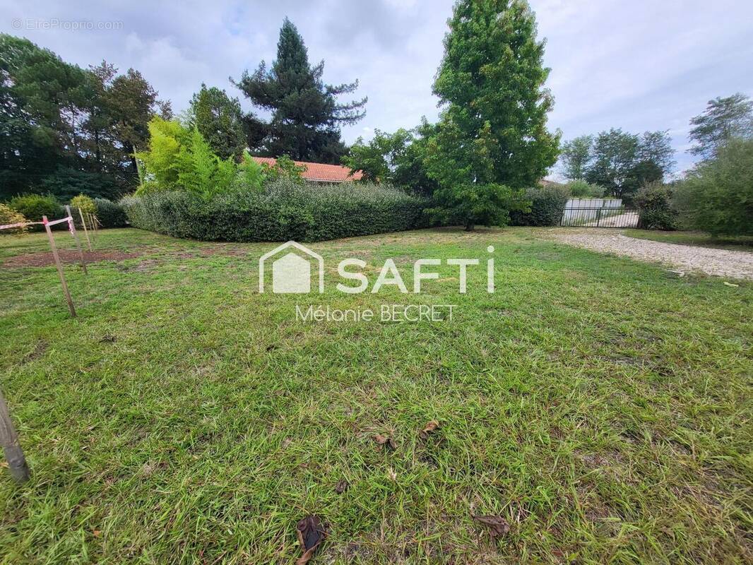 Photo 1 - Terrain à CESTAS