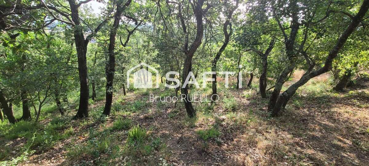 Photo 2 - Terrain à MONTESQUIEU-DES-ALBERES