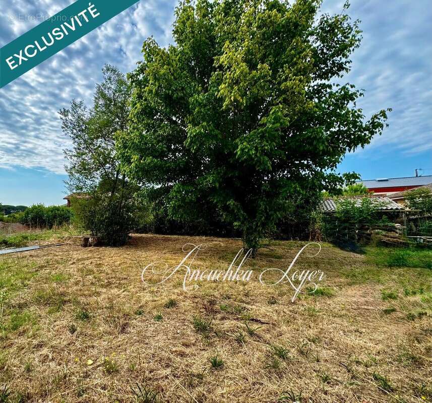 Photo 3 - Terrain à SAINT-MAIXANT