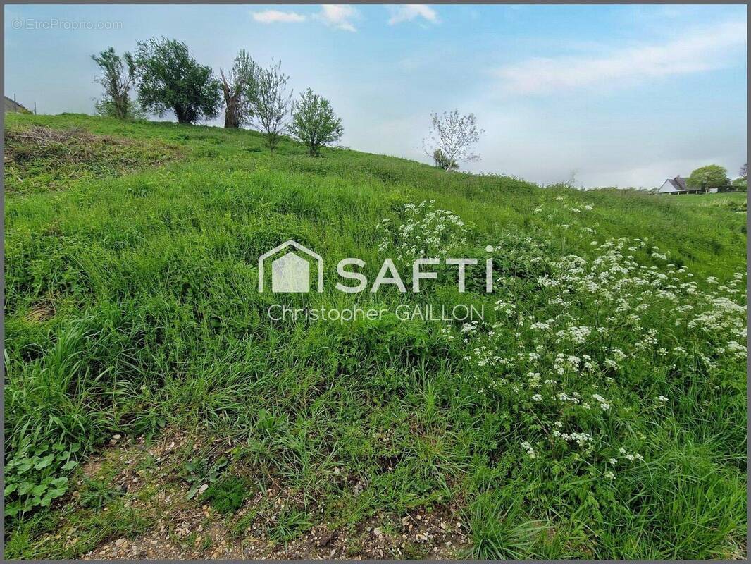 Photo 1 - Terrain à LE MESNIL-SOUS-JUMIEGES