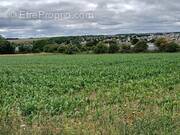 Photo 1 - Terrain à THAON