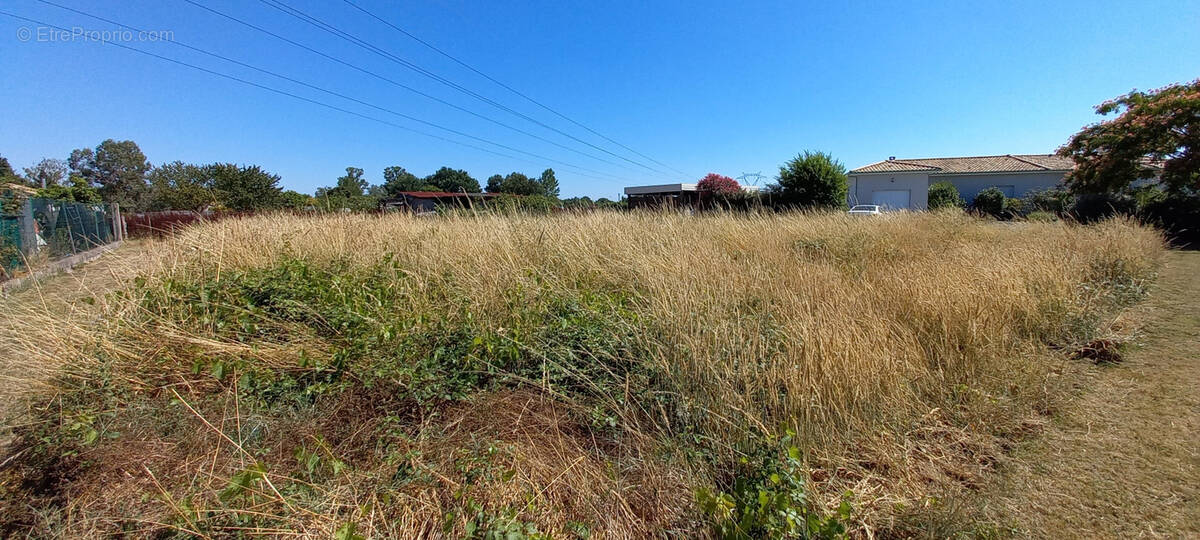 Terrain à AMBARES-ET-LAGRAVE
