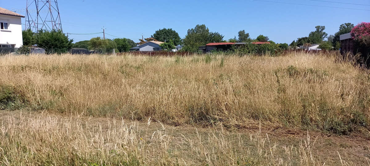 Terrain à AMBARES-ET-LAGRAVE