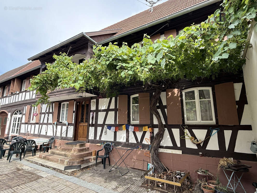 Entrées séparées 2 appartements - Maison à MUNDOLSHEIM