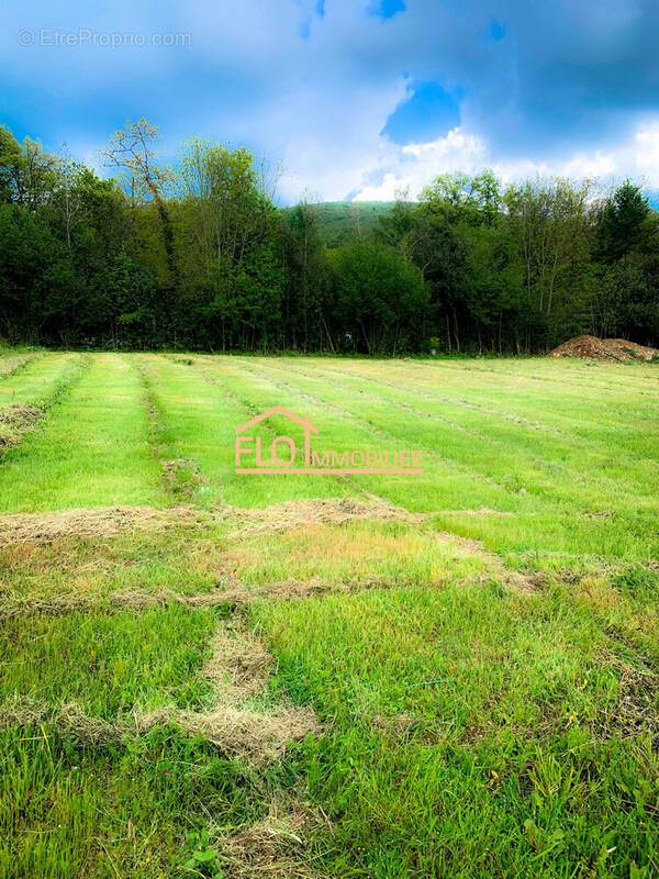 Terrain à MURAT-SUR-VEBRE