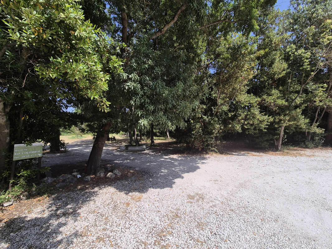 Commerce à NARBONNE