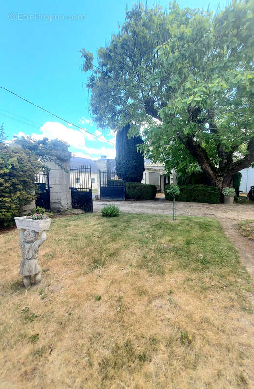 Maison à SAINT-NICOLAS-DE-BOURGUEIL