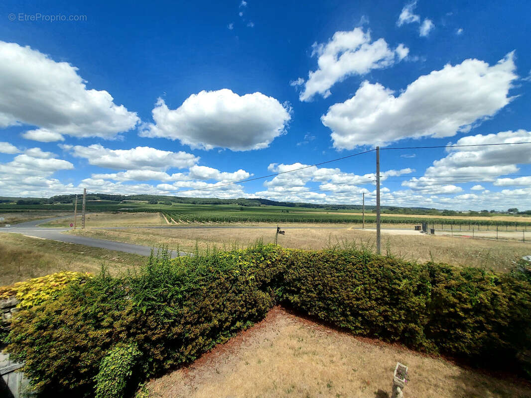 Maison à SAINT-NICOLAS-DE-BOURGUEIL