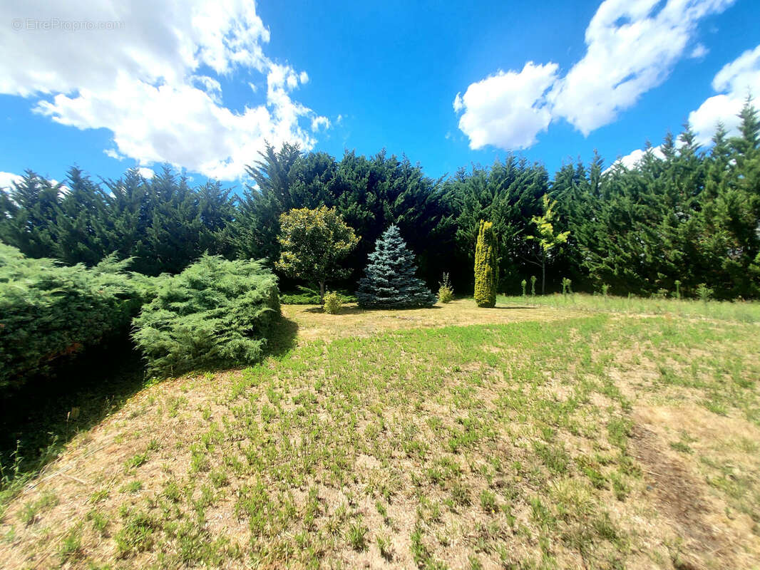 Maison à SAINT-NICOLAS-DE-BOURGUEIL