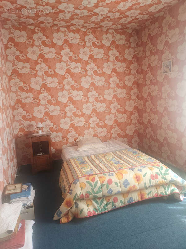 Maison à SAINT-NICOLAS-DE-BOURGUEIL