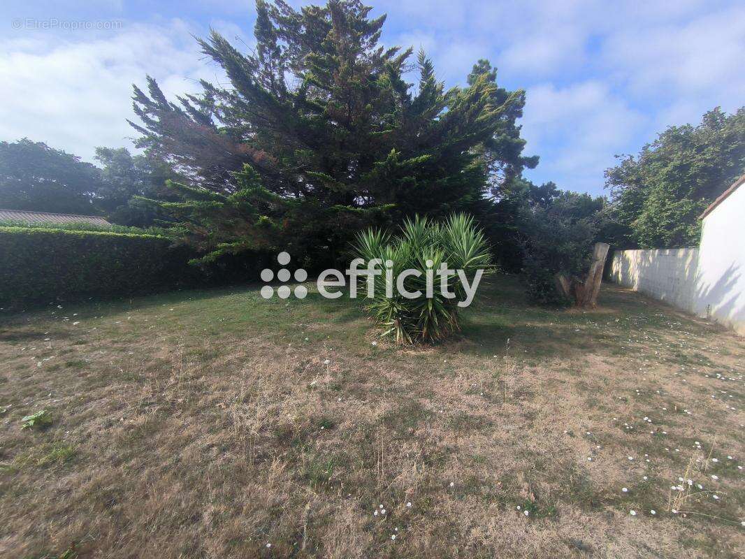 Maison à SAINT-VINCENT-SUR-JARD