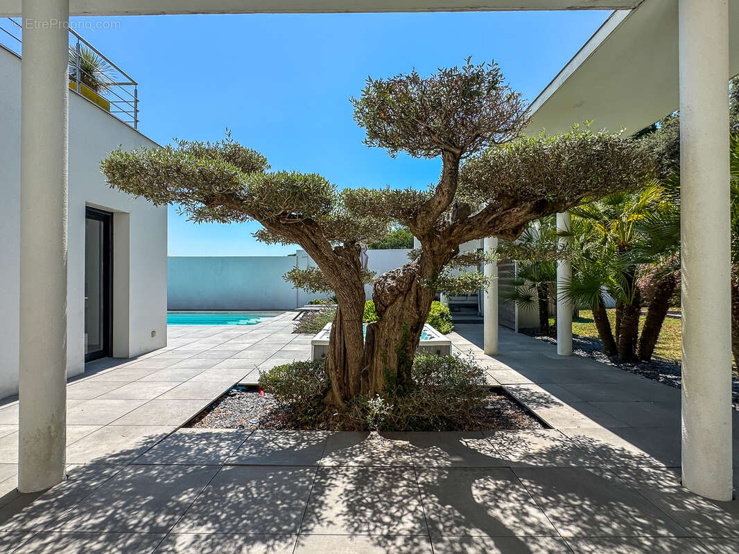 Maison à SAINT-PALAIS-SUR-MER
