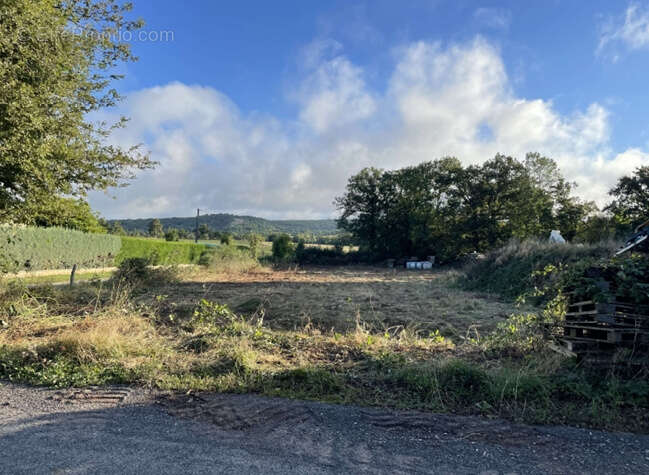 Terrain à LA LOUBIERE
