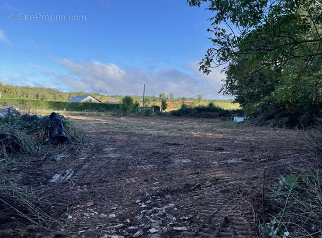 Terrain à LA LOUBIERE