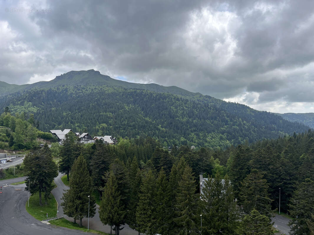 Appartement à LAVEISSIERE