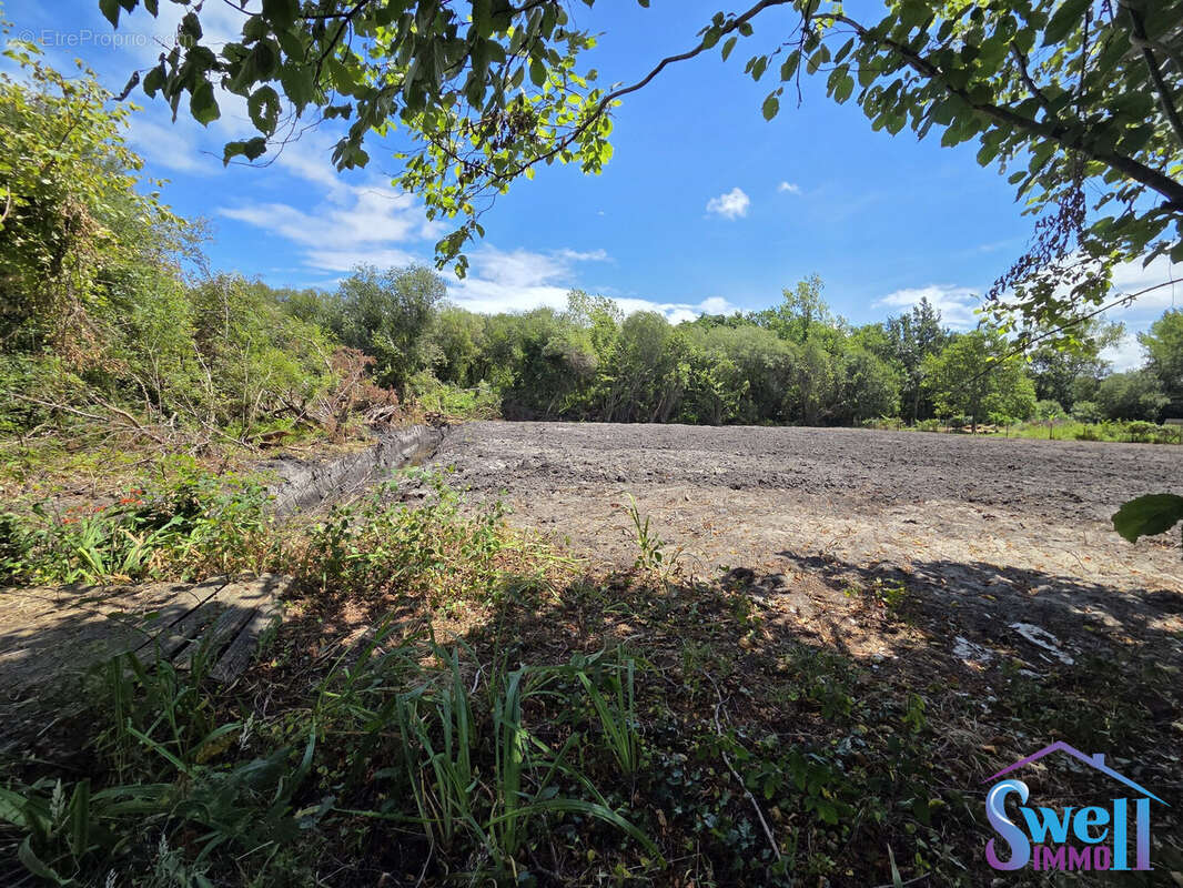 Terrain à VIELLE-SAINT-GIRONS