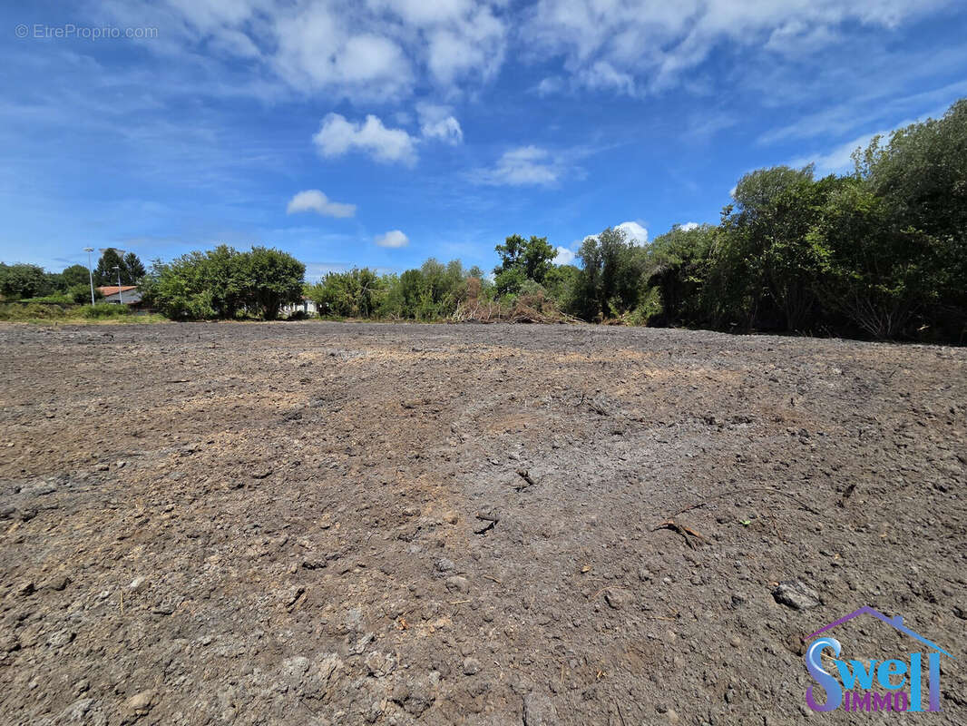 Terrain à VIELLE-SAINT-GIRONS