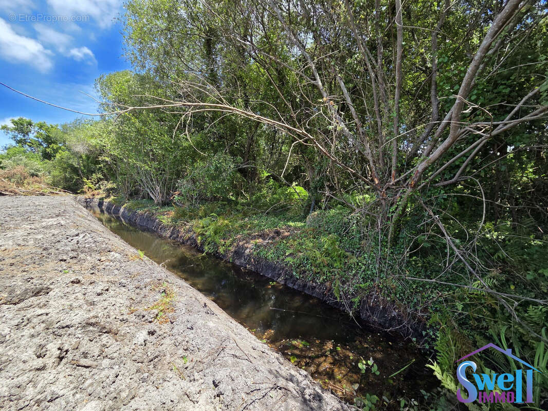 Terrain à VIELLE-SAINT-GIRONS