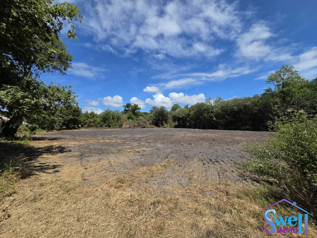 Terrain à VIELLE-SAINT-GIRONS