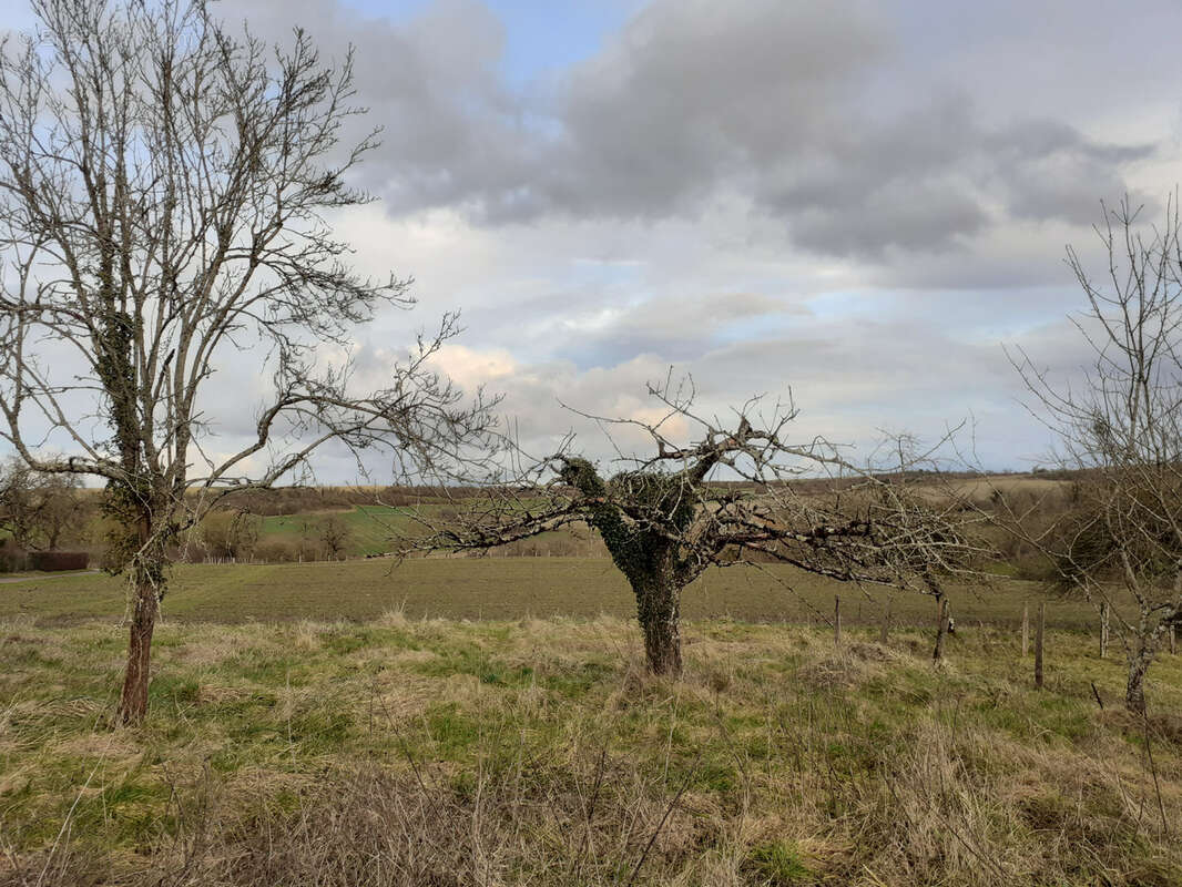 Terrain à MERRY-LA-VALLEE