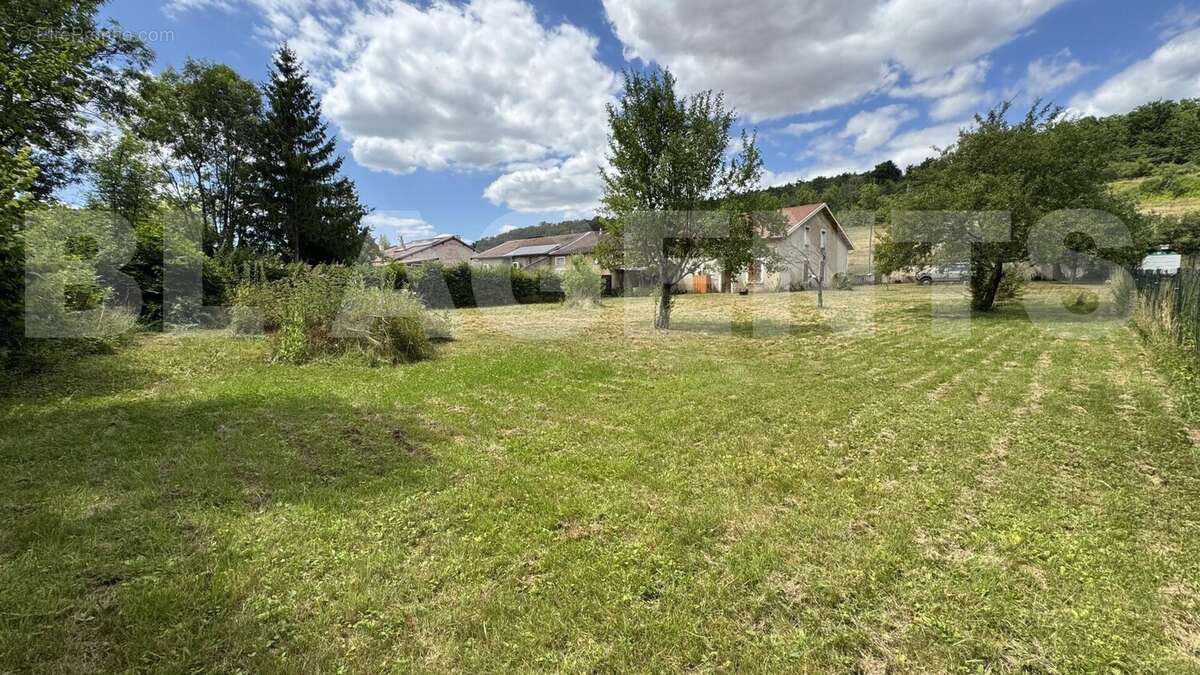 IMG_8941 - Maison à COUSANCES-LES-TRICONVILLE