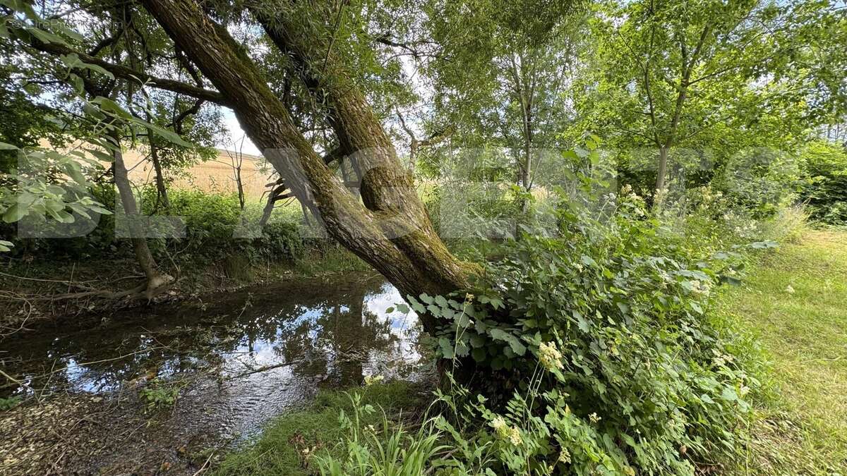 IMG_8942 - Maison à COUSANCES-LES-TRICONVILLE