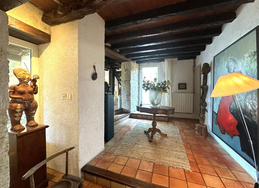 ENTREE. - Maison à CASTERA-VERDUZAN