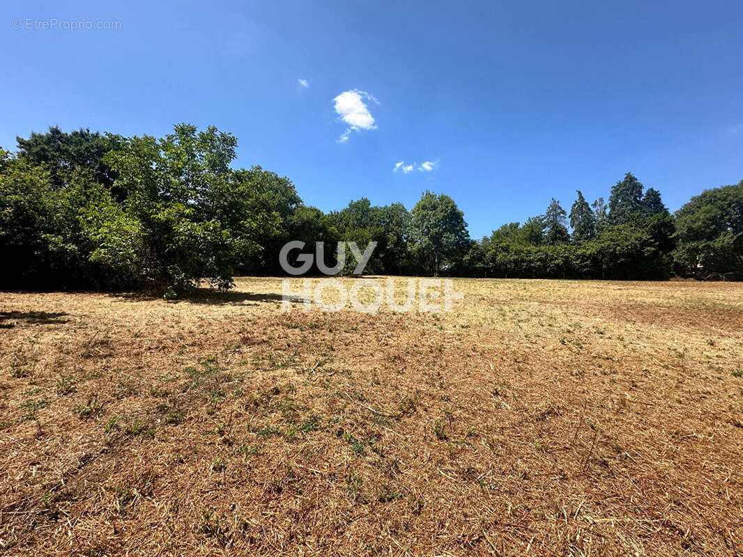 Terrain à MERVENT